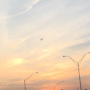 Meet your Posher, Oliver